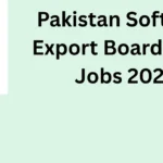 Latest Pakistan Software Export Board PSEB Jobs 2026 – Apply Online for Government IT Careers